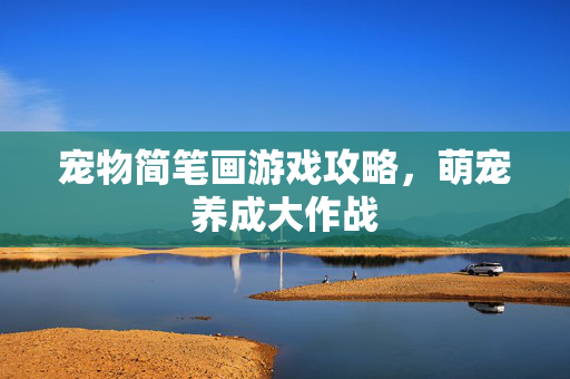 宠物简笔画游戏攻略，萌宠养成大作战