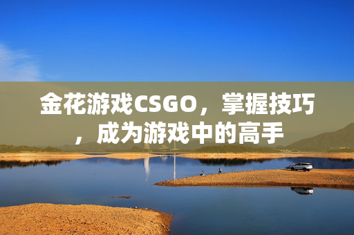 金花游戏CSGO，掌握技巧，成为游戏中的高手