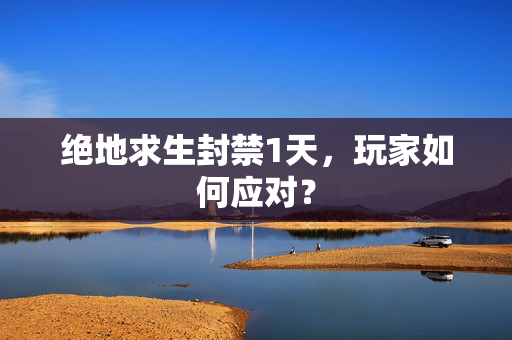 绝地求生封禁1天，玩家如何应对？