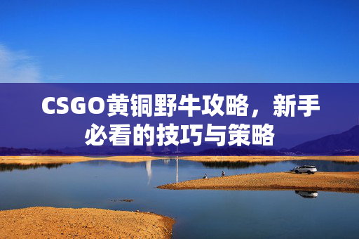 CSGO黄铜野牛攻略，新手必看的技巧与策略