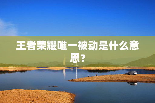 王者荣耀唯一被动是什么意思？-第1张图片-SK游戏资讯网