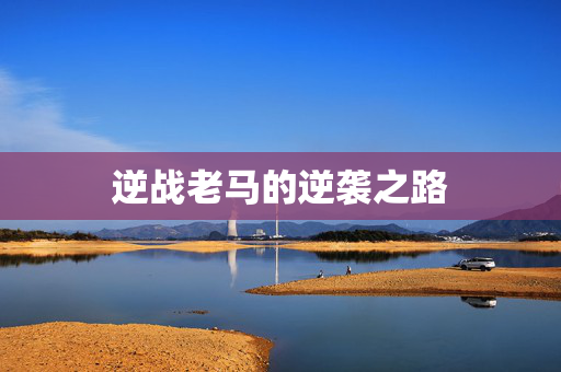逆战老马的逆袭之路