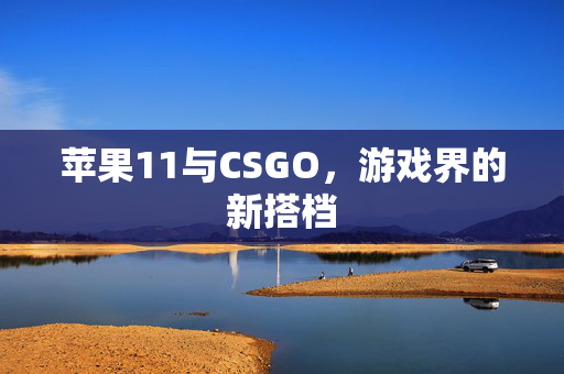 苹果11与CSGO，游戏界的新搭档