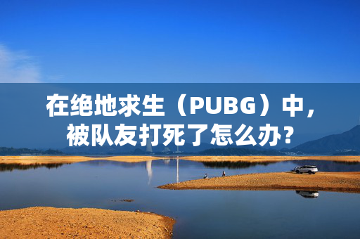 在绝地求生（PUBG）中，被队友打死了怎么办？