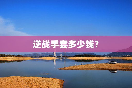 逆战手套多少钱？