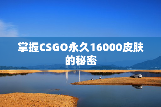掌握CSGO永久16000皮肤的秘密