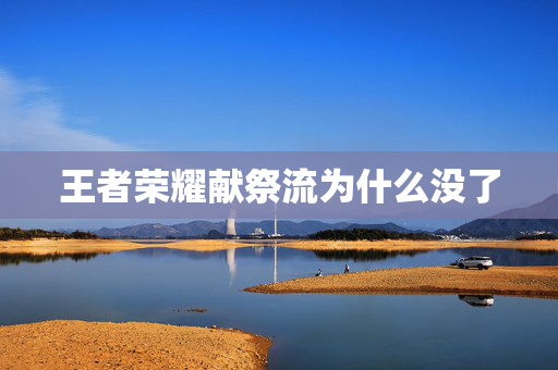 王者荣耀献祭流为什么没了