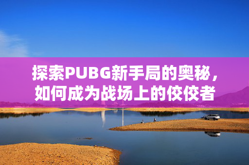 探索PUBG新手局的奥秘，如何成为战场上的佼佼者