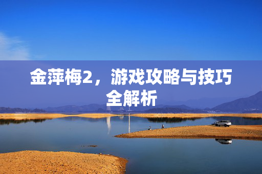 金萍梅2，游戏攻略与技巧全解析