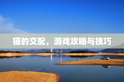 猫的交配，游戏攻略与技巧