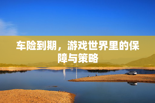 车险到期，游戏世界里的保障与策略
