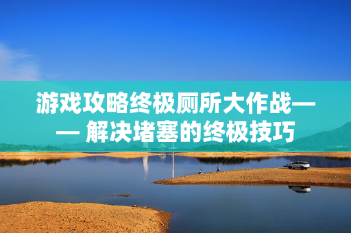 游戏攻略终极厕所大作战—— 解决堵塞的终极技巧