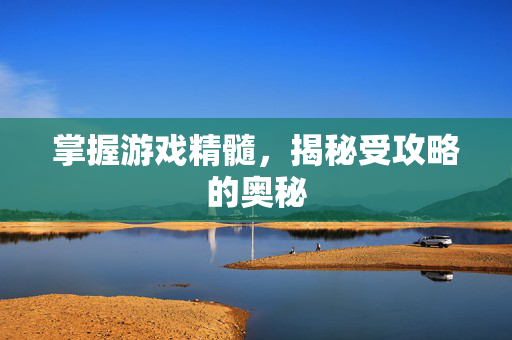 掌握游戏精髓，揭秘受攻略的奥秘