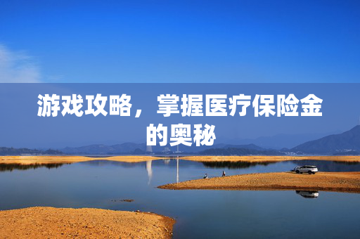 游戏攻略，掌握医疗保险金的奥秘