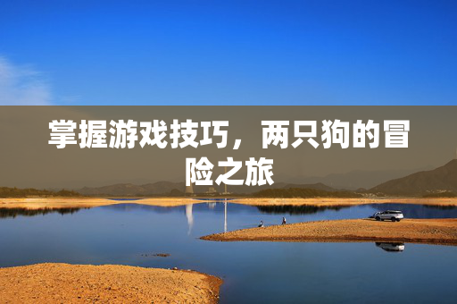 掌握游戏技巧，两只狗的冒险之旅