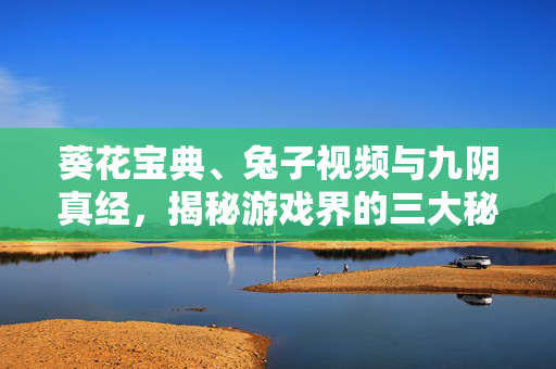 葵花宝典、兔子视频与九阴真经，揭秘游戏界的三大秘籍-第1张图片-SK游戏资讯网