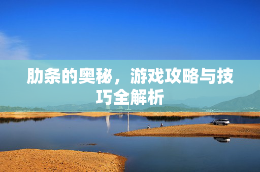 肋条的奥秘，游戏攻略与技巧全解析