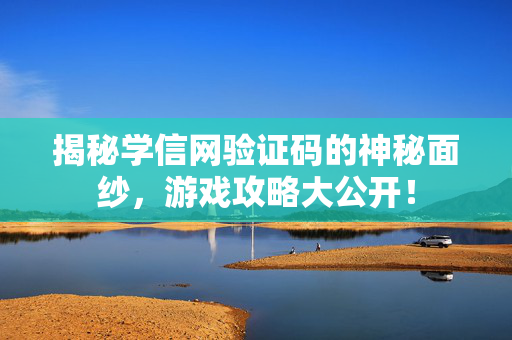 揭秘学信网验证码的神秘面纱，游戏攻略大公开！