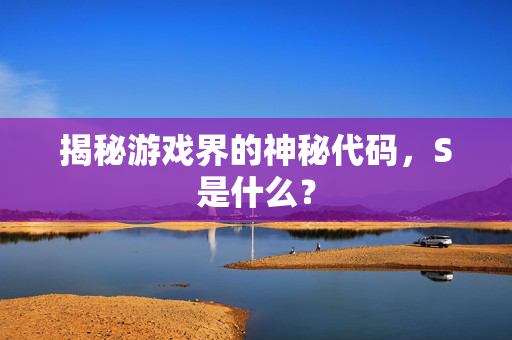 揭秘游戏界的神秘代码，S是什么？