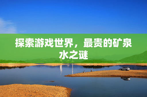 探索游戏世界，最贵的矿泉水之谜