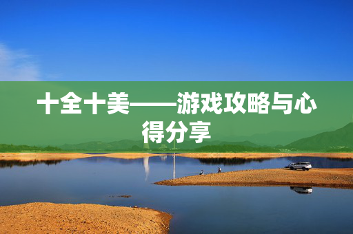 十全十美——游戏攻略与心得分享