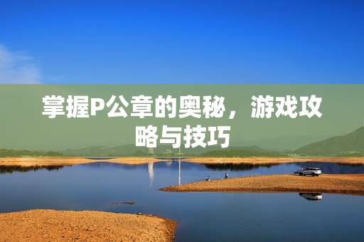 掌握P公章的奥秘，游戏攻略与技巧