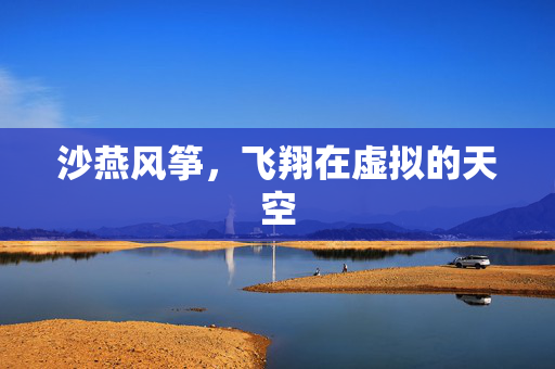 沙燕风筝，飞翔在虚拟的天空
