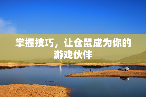 掌握技巧，让仓鼠成为你的游戏伙伴