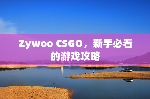 Zywoo CSGO，新手必看的游戏攻略