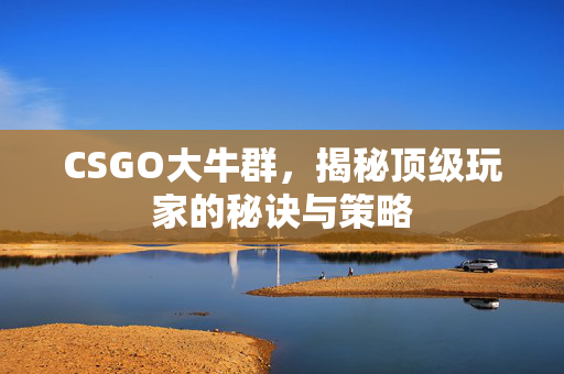 CSGO大牛群，揭秘顶级玩家的秘诀与策略