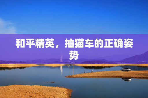 和平精英，抽猫车的正确姿势
