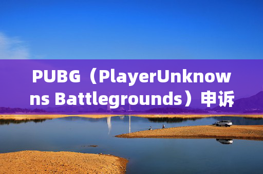 PUBG（PlayerUnknowns Battlegrounds）申诉失败继续，如何应对与策略