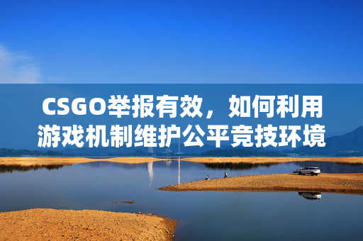 CSGO举报有效，如何利用游戏机制维护公平竞技环境
