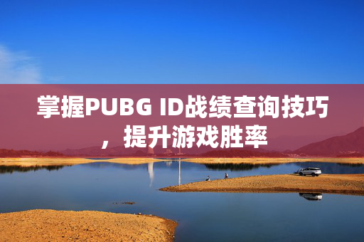 掌握PUBG ID战绩查询技巧，提升游戏胜率