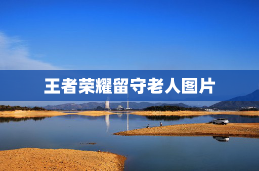 王者荣耀留守老人图片