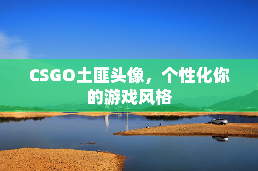 CSGO土匪头像，个性化你的游戏风格