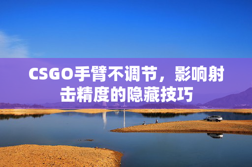 CSGO手臂不调节，影响射击精度的隐藏技巧