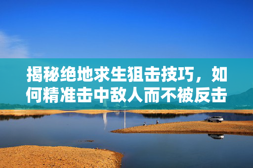 揭秘绝地求生狙击技巧，如何精准击中敌人而不被反击？