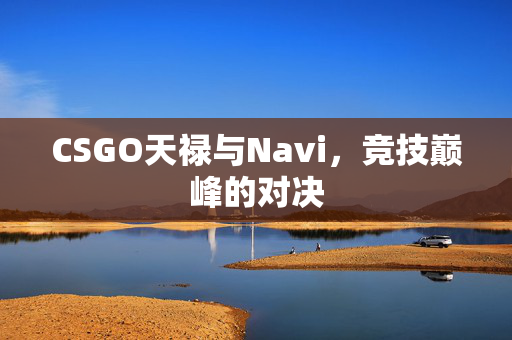 CSGO天禄与Navi，竞技巅峰的对决