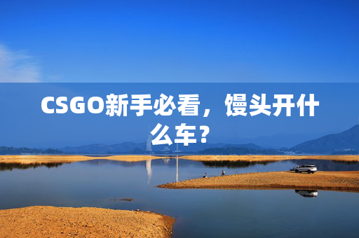 CSGO新手必看，馒头开什么车？