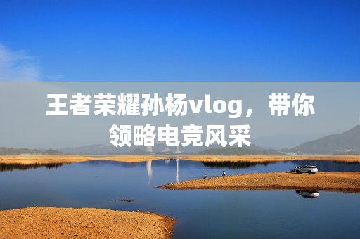 王者荣耀孙杨vlog，带你领略电竞风采