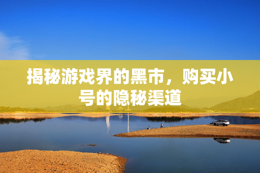 揭秘游戏界的黑市，购买小号的隐秘渠道