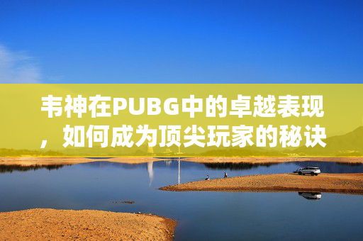 韦神在PUBG中的卓越表现，如何成为顶尖玩家的秘诀揭秘