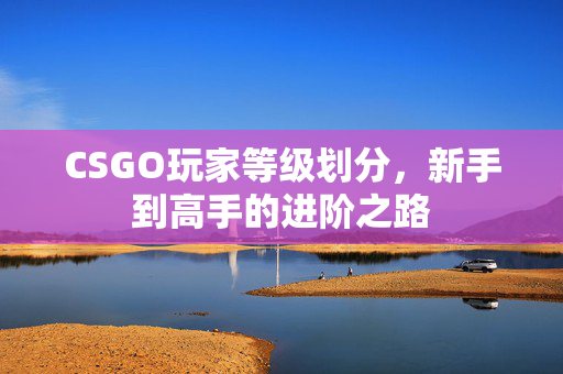 CSGO玩家等级划分，新手到高手的进阶之路