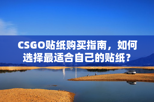 CSGO贴纸购买指南，如何选择最适合自己的贴纸？