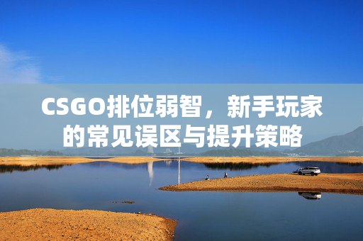 CSGO排位弱智，新手玩家的常见误区与提升策略