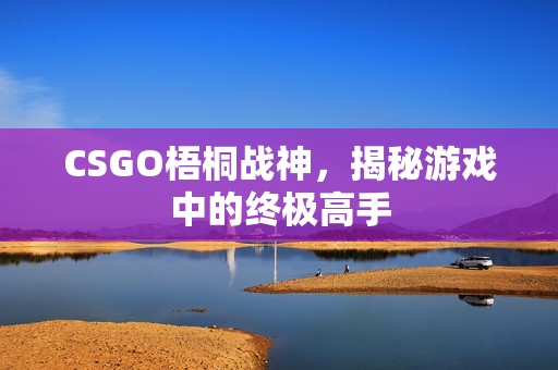CSGO梧桐战神，揭秘游戏中的终极高手