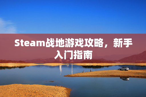 Steam战地游戏攻略，新手入门指南