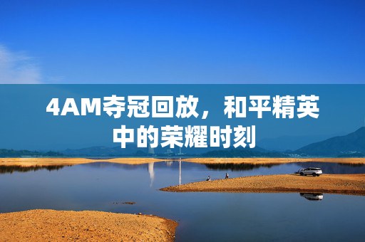 4AM夺冠回放，和平精英中的荣耀时刻