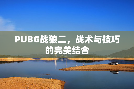 PUBG战狼二，战术与技巧的完美结合